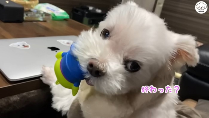 「あれ、もう動画終わってた？」