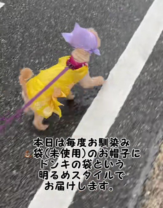 絶妙なカラーコンビが素敵！