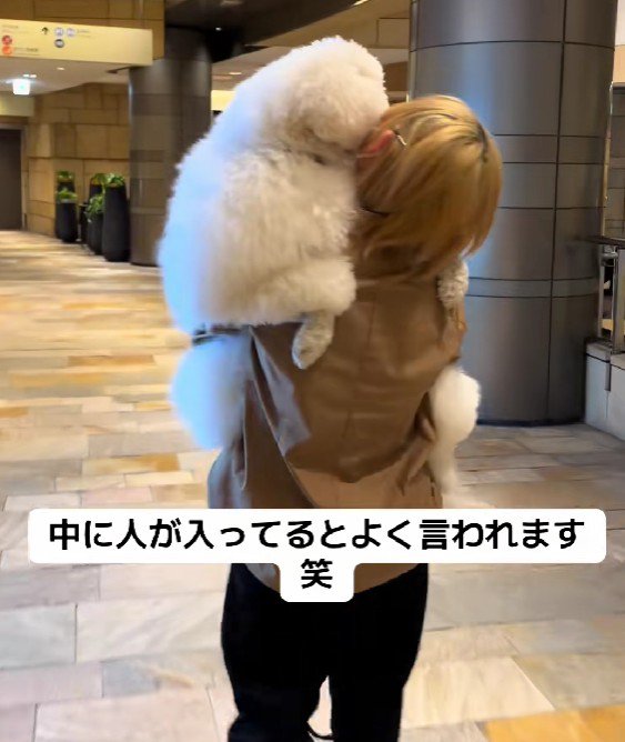 人間が入っているみたい！？