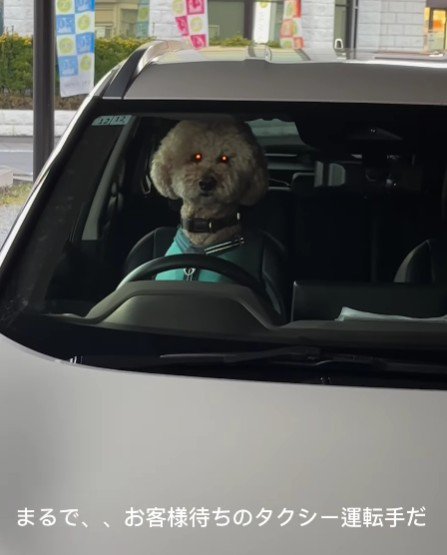 タクシー運転手のよう