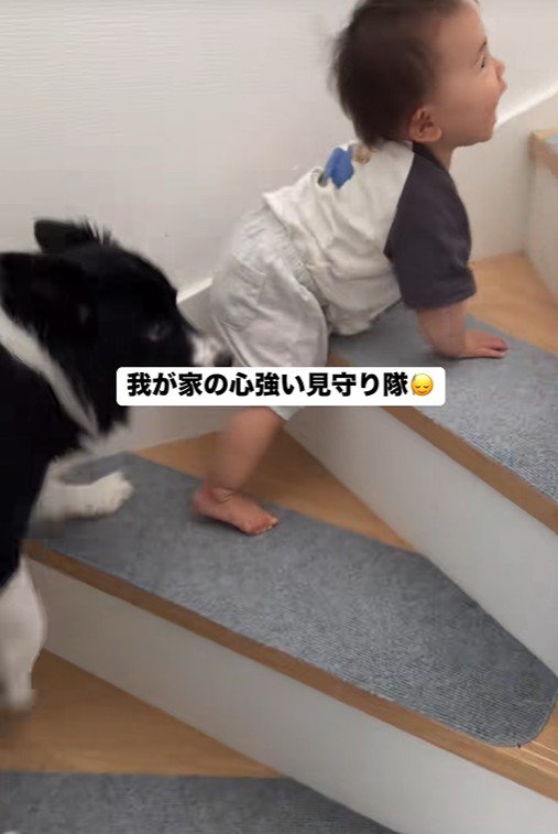 赤ちゃんを見守るヒマちゃん2