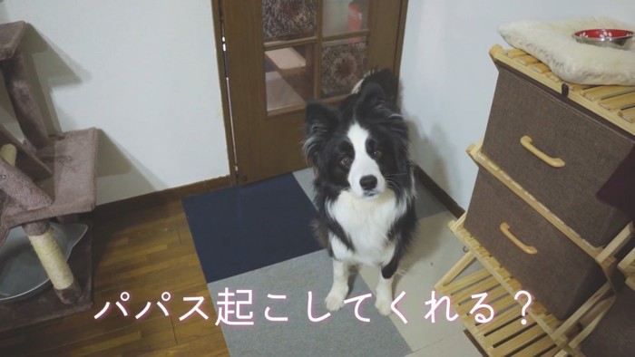 「パパを起こして」と言ったら…