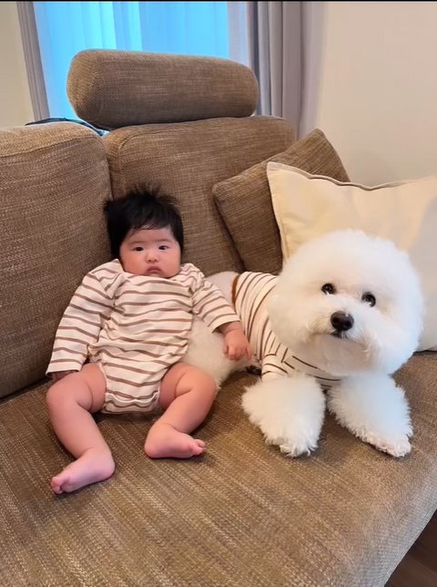 お揃いの服で座る赤ちゃんと小型犬