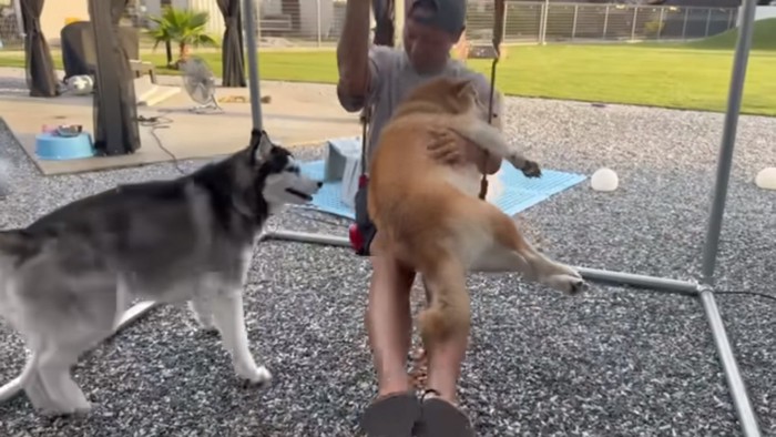 ブランコに乗るおもちくん