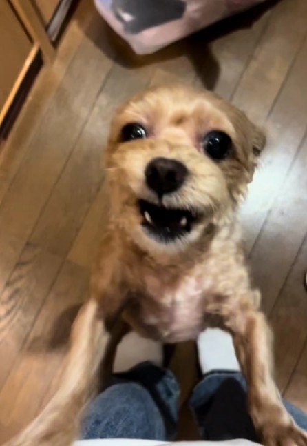 ちくわちゃんらしさは健在