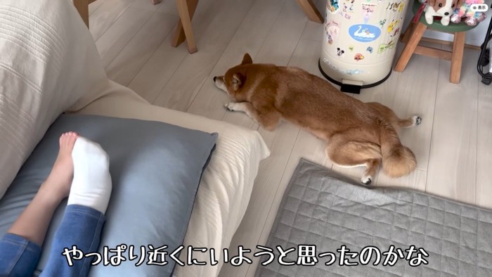 結局、女の子のそばですやすや…♪