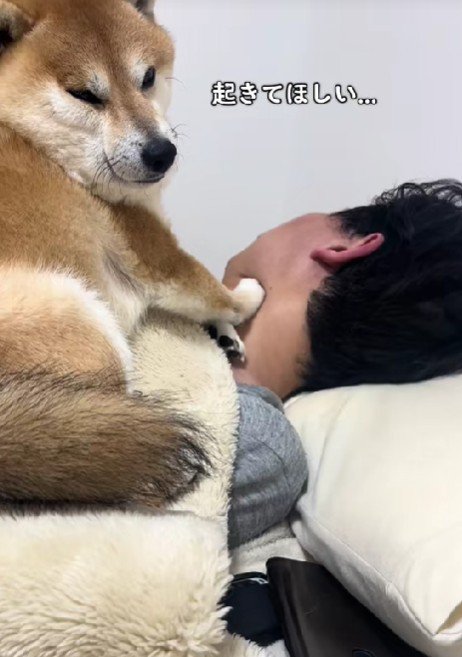 「まだ起きない…」