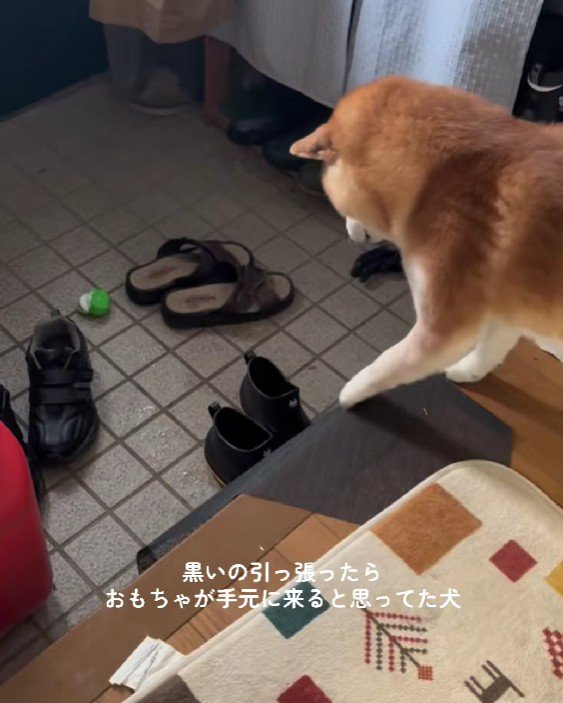 おもちゃが玄関に落下