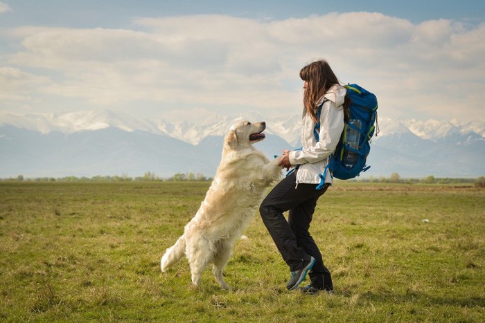 手をつなぐ白い犬とバックパックの女性