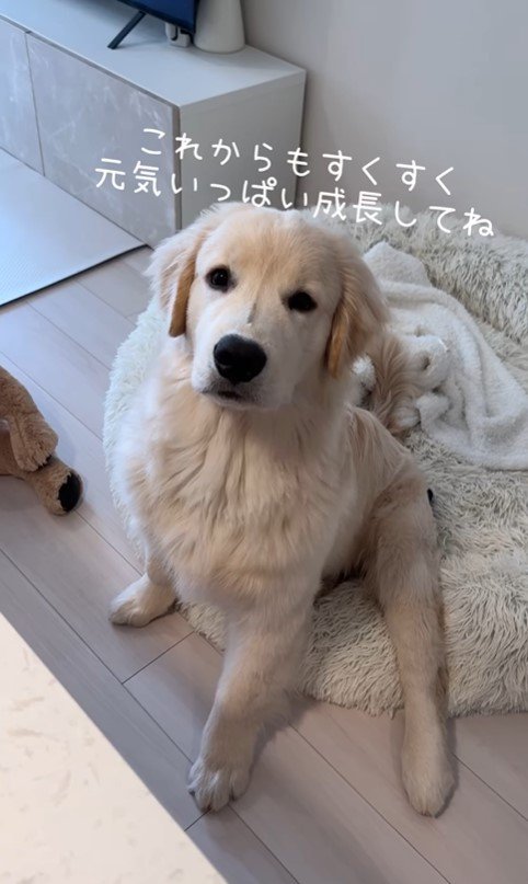 ぴの君の成長7