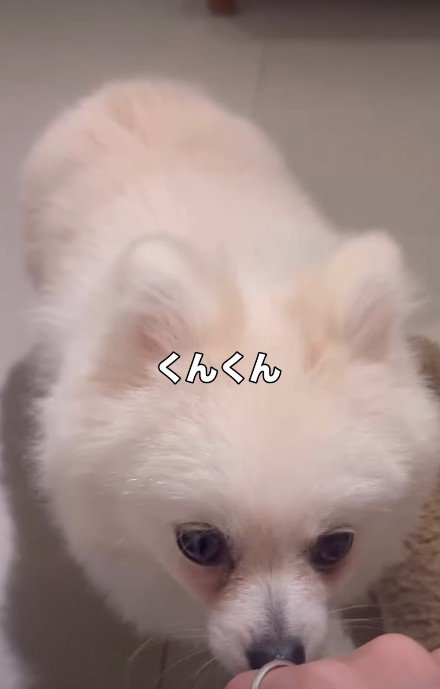 においを確認