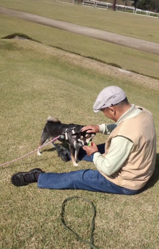 ボール遊びをするおじいちゃんと犬