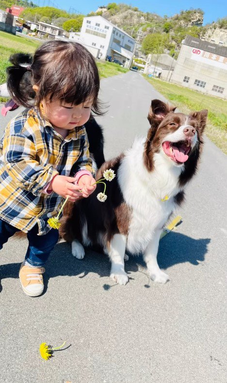 モカちゃんとの思い出