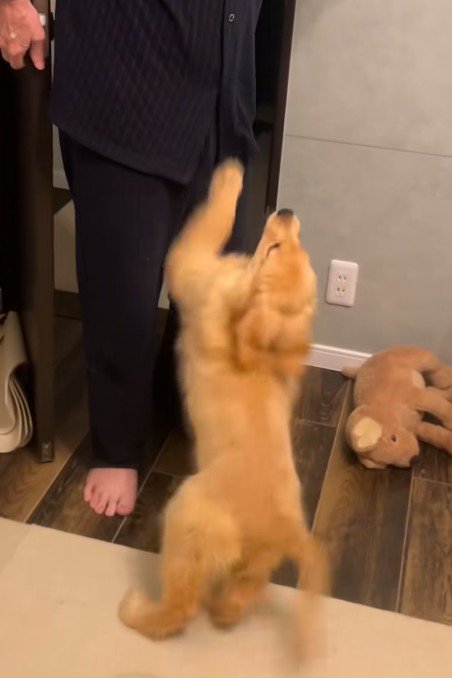優しく受け止めるおじいちゃん