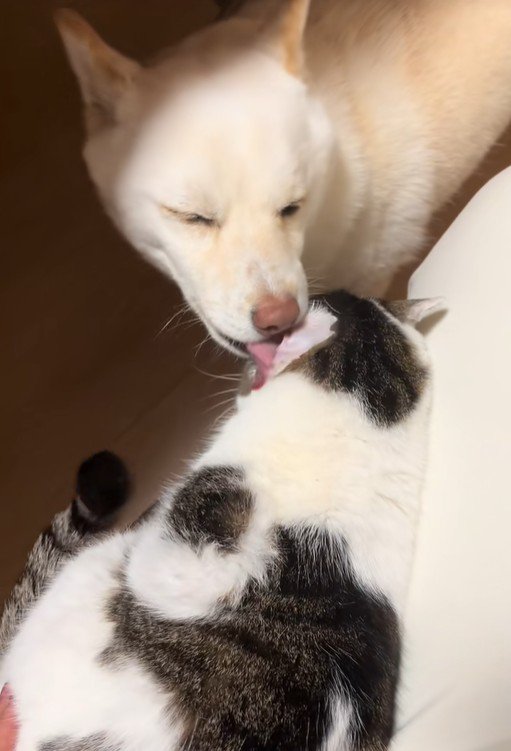 福丸くんと朔ちゃん