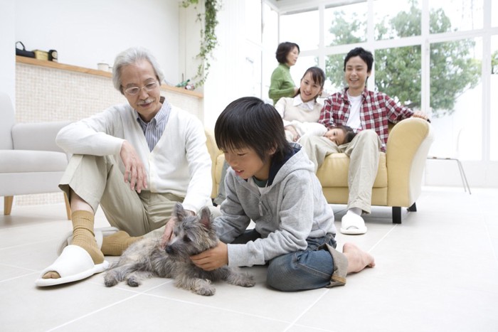 一家団欒の中にいる犬