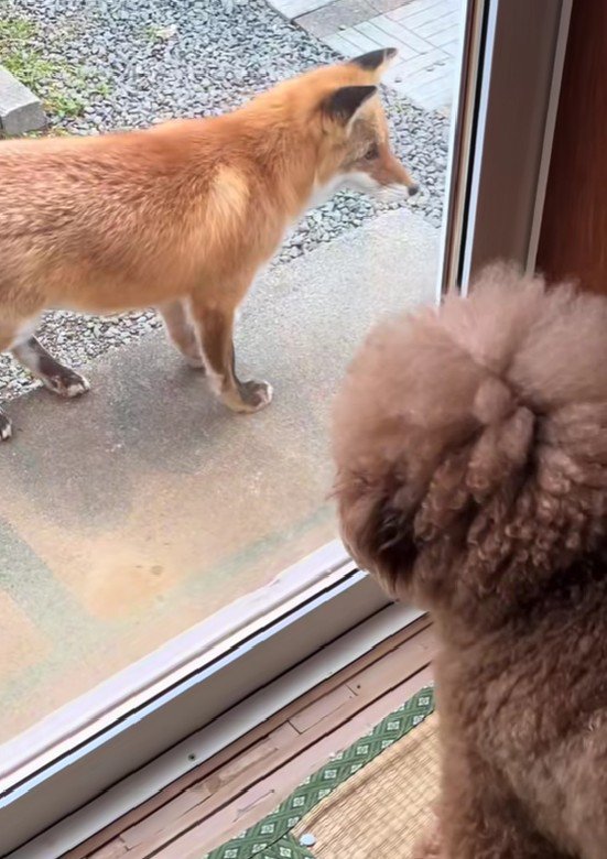 「じゃ、帰るね…」