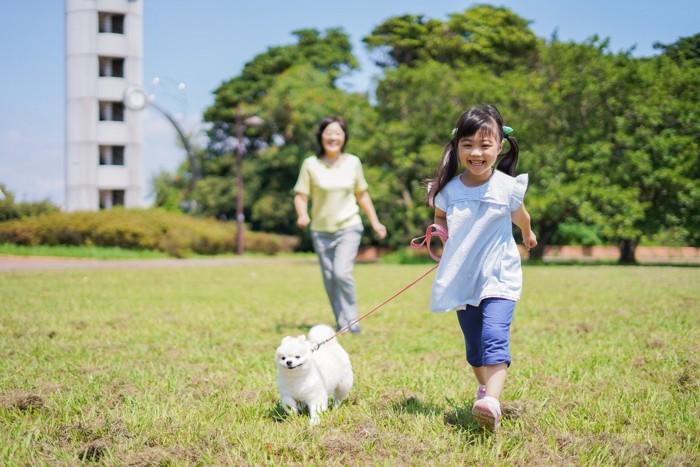 少女と元気に散歩する犬