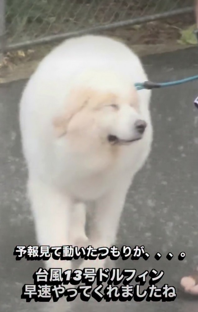 目がしょぼしょぼ…