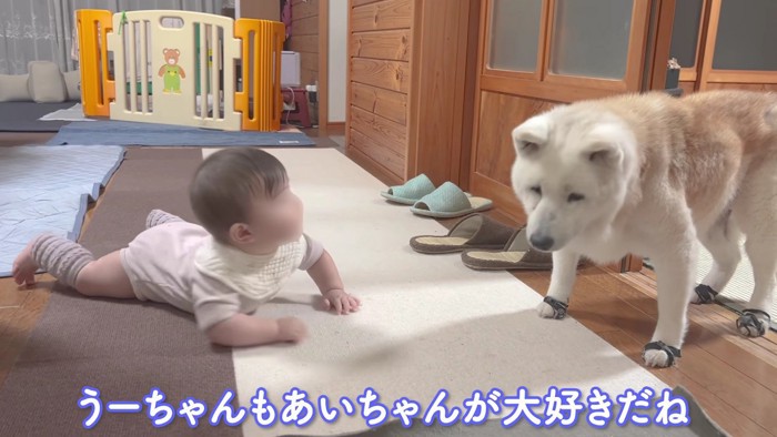 赤ちゃんが近付いてきた