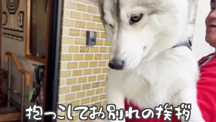 お別れの日…