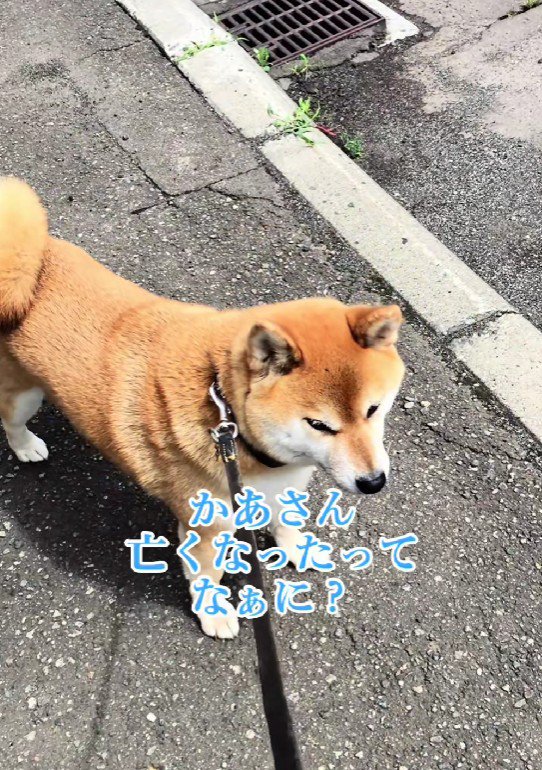 呆然とする朔ちゃん