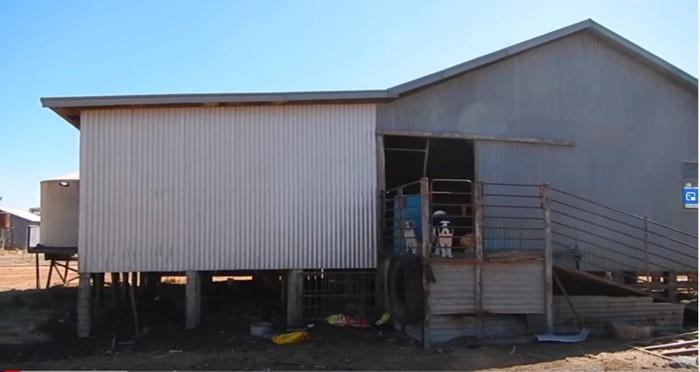 飼育小屋の入り口に犬