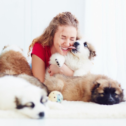 女性の顔を舐める子犬