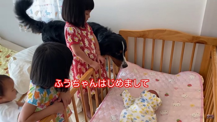 ジャービスくんと子どもたち