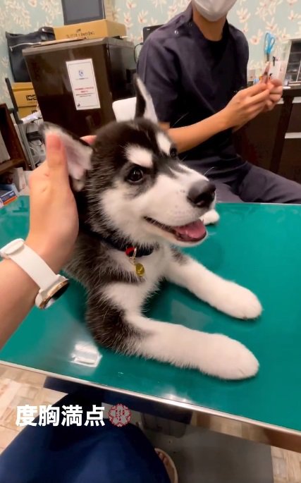 笑顔のレイルちゃん