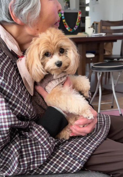 おばあちゃんっ子になった♡