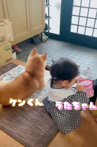 長靴で遊ぶうたちゃん