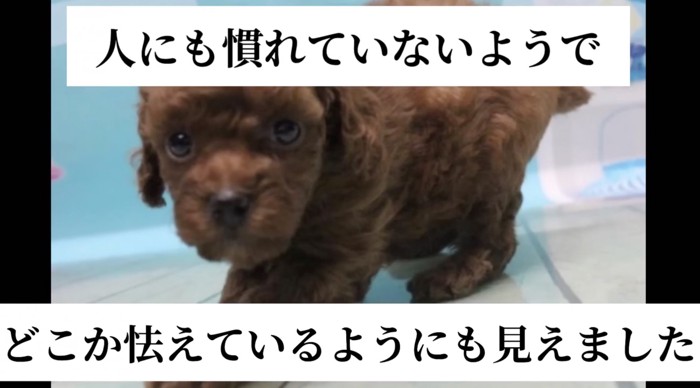 怯えた表情…