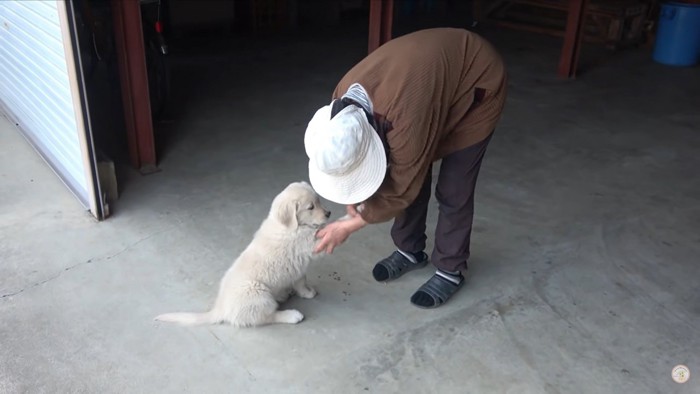 メイちゃんの腕をさするおばあちゃん