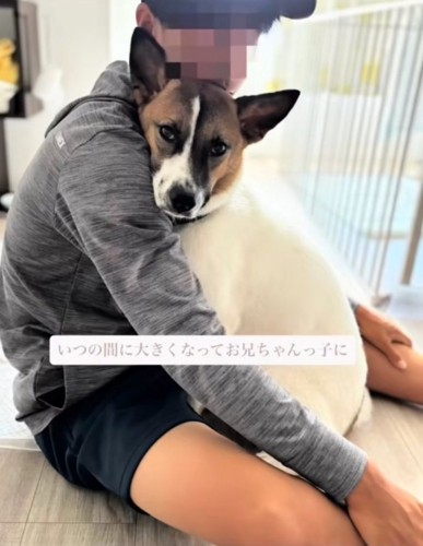 お兄ちゃんに寄りかかる犬