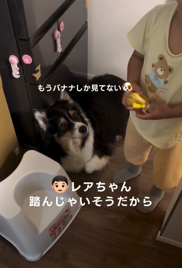 優しい息子さん