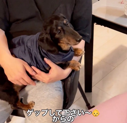 不安そうに見つめる犬