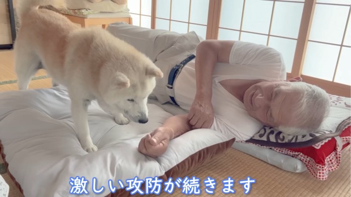 手を嗅ぐ犬