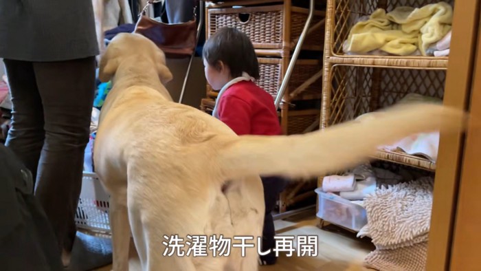 今度は女の子もやってきて…
