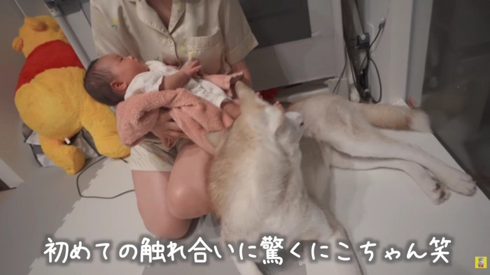 初めての触れ合い