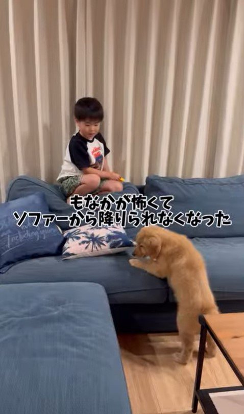 もなかちゃんとの1年間の軌跡3