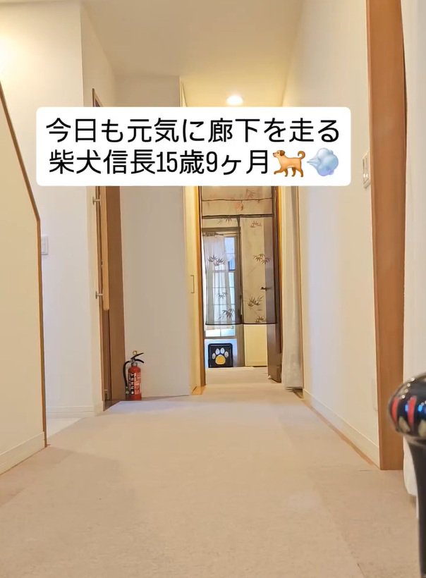 飼い主さん宅