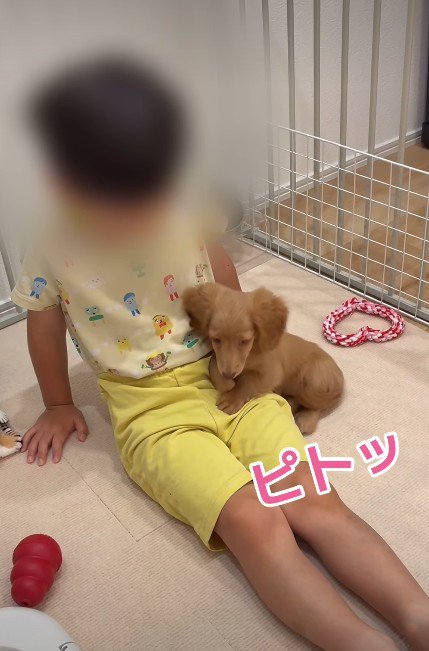 ぴったりくっついた♡
