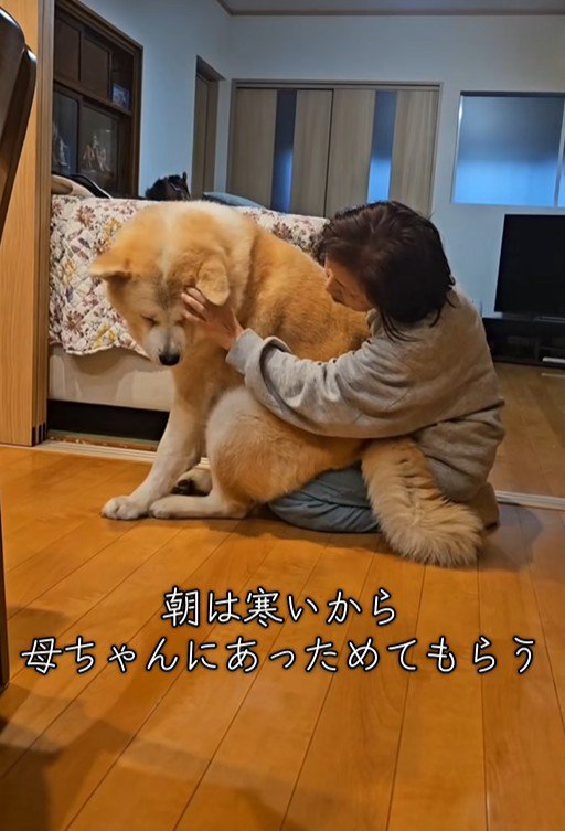 寒い日の朝の駄偉助くん