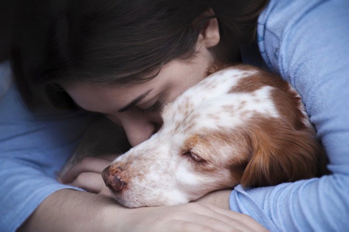 女性に抱きしめられる犬