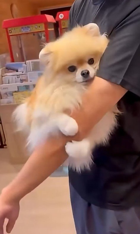抱っこされながら腕をぎゅっ♡