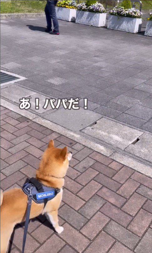 紋次郎くんとお父さんの再会