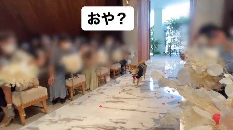 リングドッグに挑戦する大吉くん2