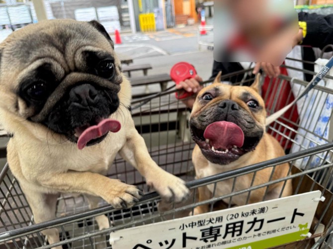 2匹とも楽しそう♪