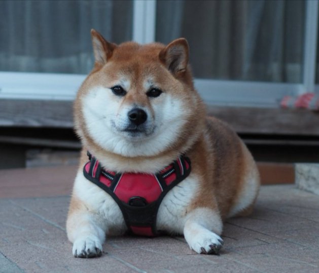 丸い